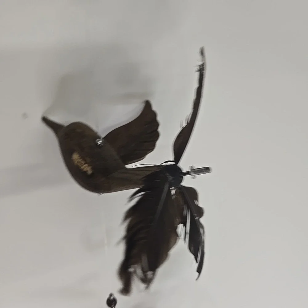 Moose Mountain Trading Co Hummingbird Whirly Bird Hanging‎ Decor